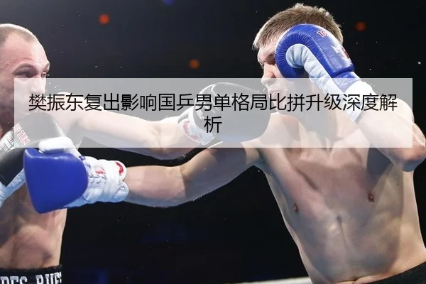 樊振东复出影响国乒男单格局比拼升级深度解析